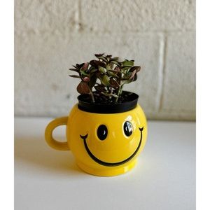 luv imports oversized smiley face mug